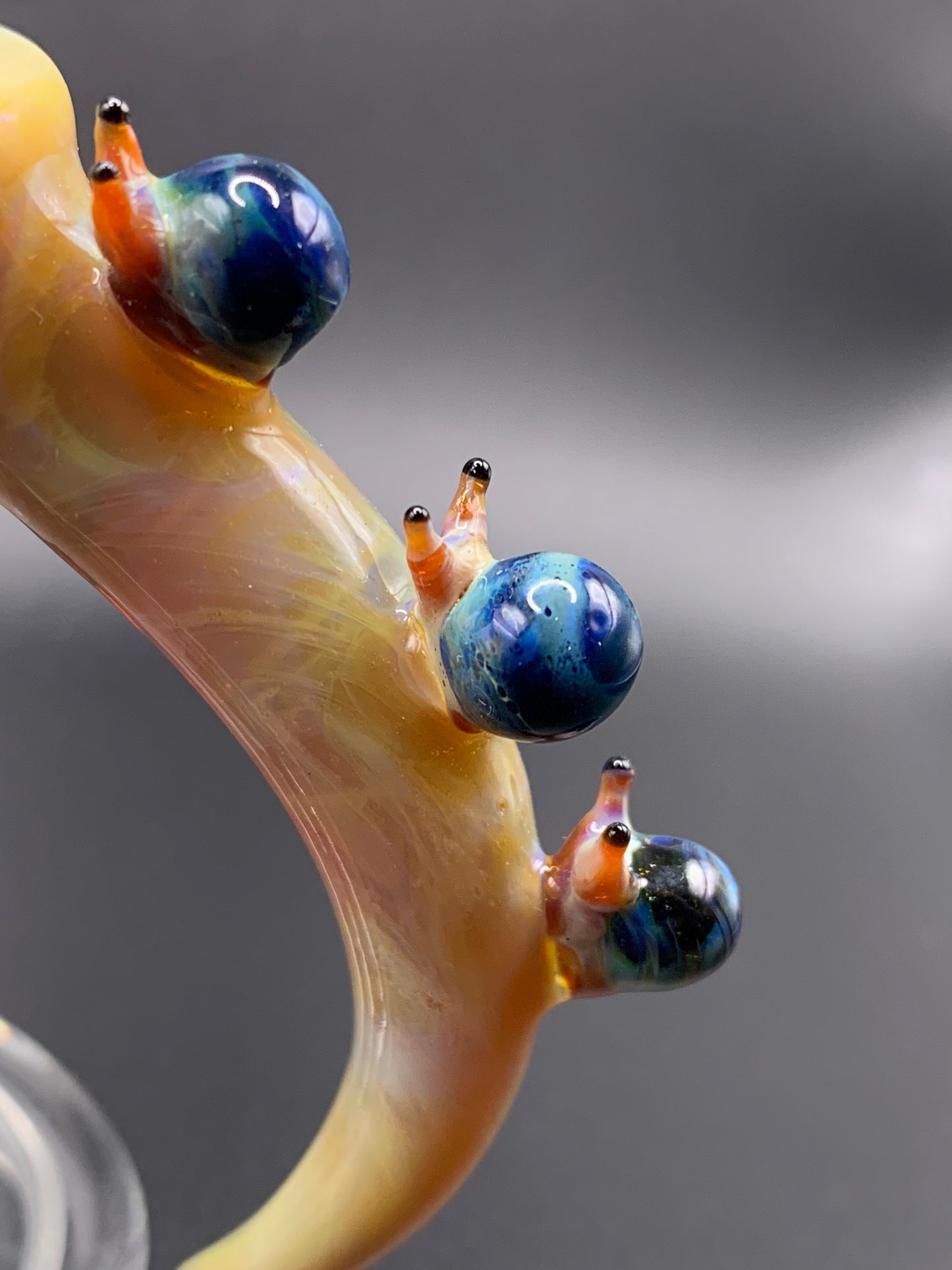 TerpBunny - DrissGlass collaboration Snail theme slide.